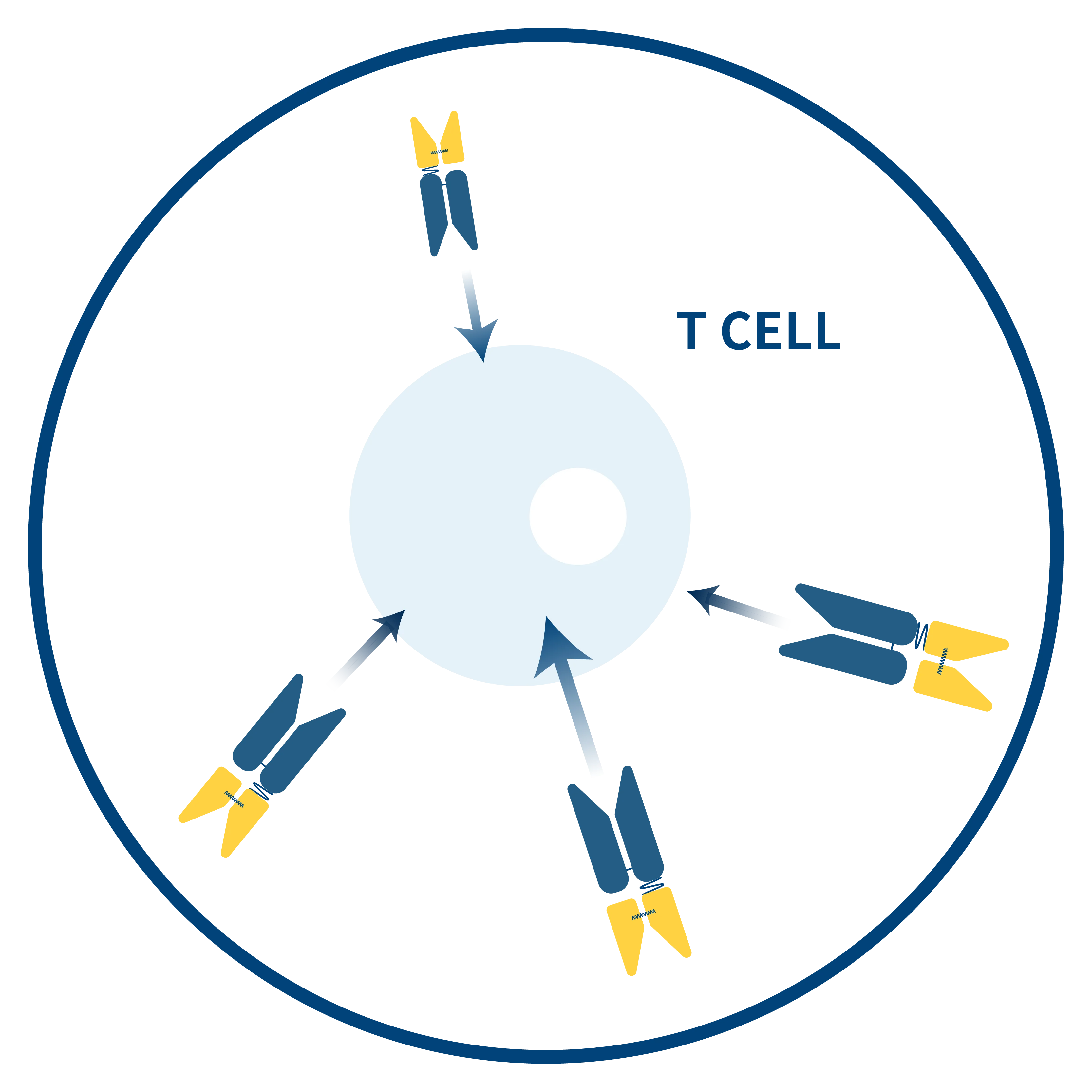 Cytoarm Icon V4 工作區域 1 複本 4