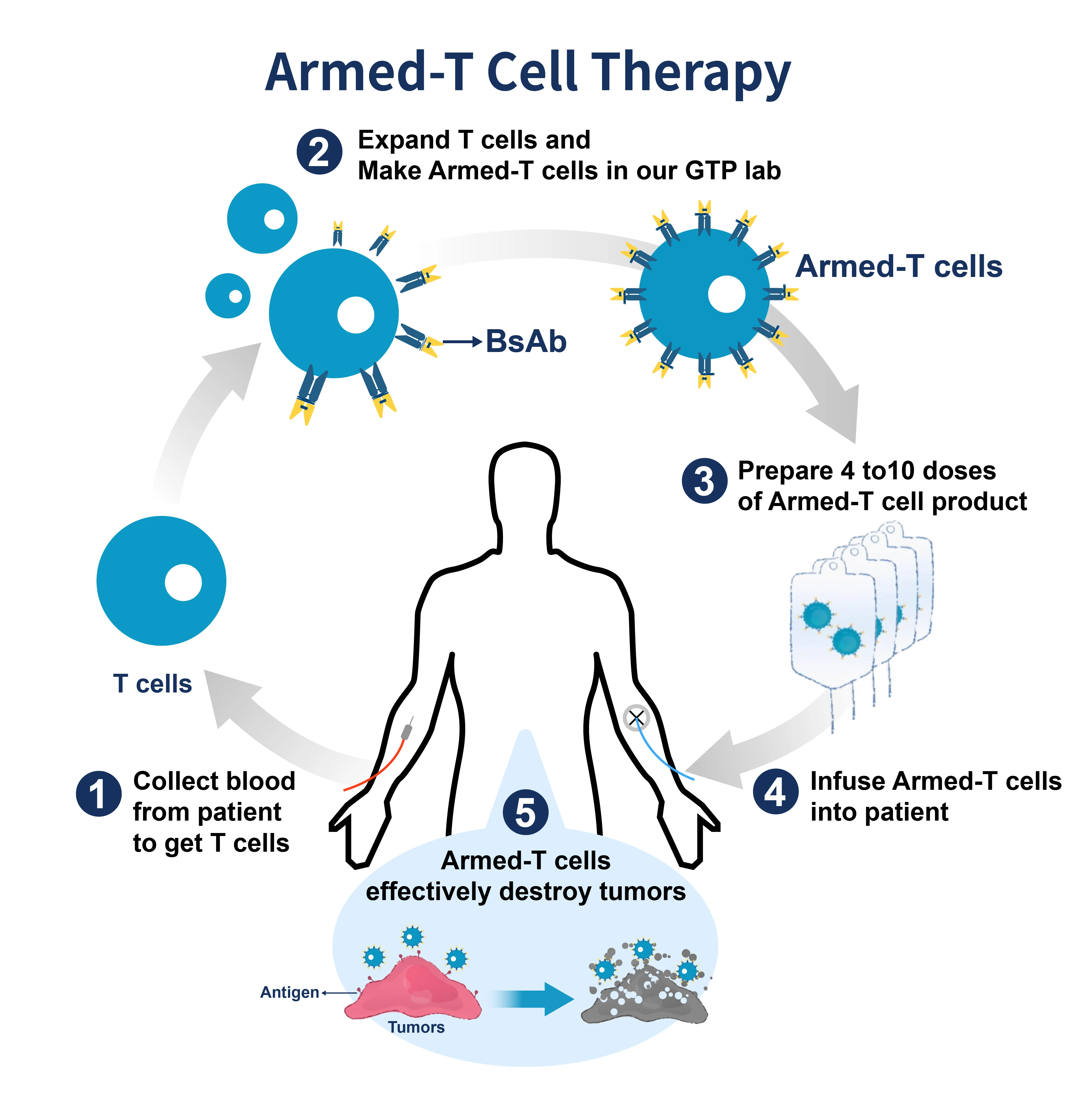 Armed-T cell therapy platform